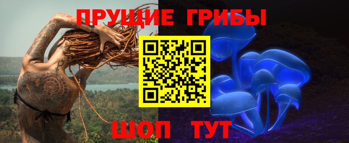 Псилоцибиновые грибы Magic Shrooms Северобайкальск