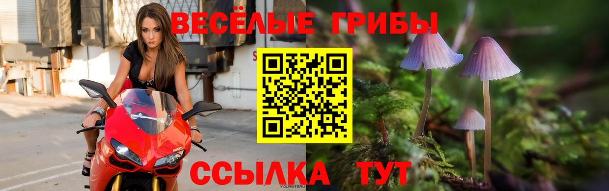 Галлюциногенные грибы прущие грибы  Вход с VPN  Северобайкальск  Галлюциногенные грибы Cubensis 
